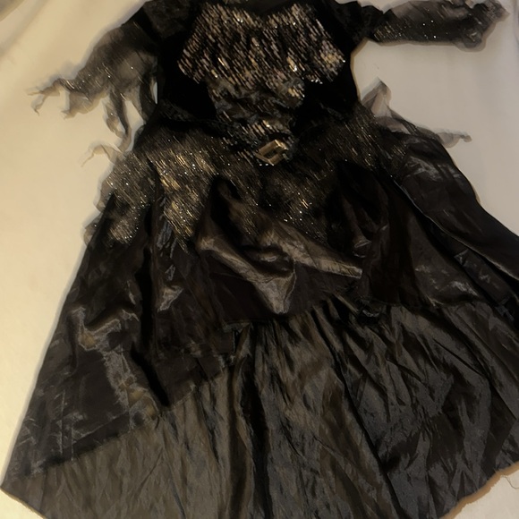 Womens Size 3X Halloween Costume. - Picture 2 of 6